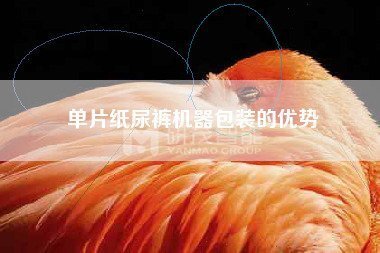 試用裝紙尿褲包裝機(jī)，體驗(yàn)裝紙尿褲包裝機(jī)注意事項(xiàng)