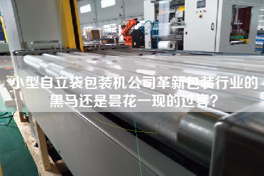 小型自立袋包裝機(jī)公司革新包裝行業(yè)的黑馬還是曇花一現(xiàn)的過客