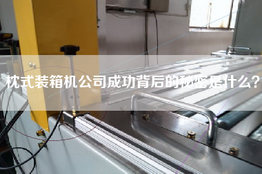 枕式裝箱機(jī)公司成功背后的秘密是什么？