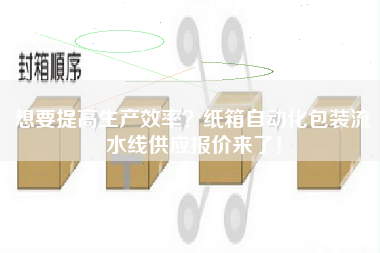 想要提高生產效率紙箱自動化包裝流水線供應報價來了！