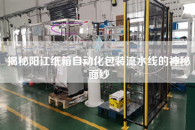 揭秘陽(yáng)江紙箱自動(dòng)化包裝流水線的神秘面紗