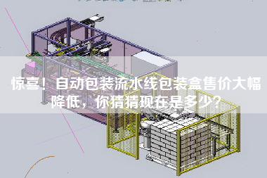 驚喜！自動包裝流水線包裝盒售價大幅降低，你猜猜現在是多少？