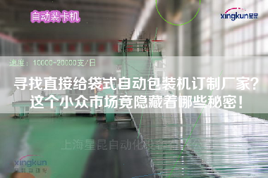 尋找直接給袋式自動包裝機訂制廠家這個小眾市場竟隱藏著哪些秘密！