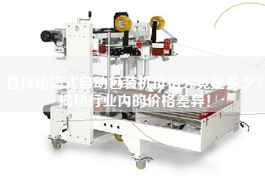直接給袋式自動(dòng)包裝機(jī)價(jià)格究竟是多少？揭秘行業(yè)內(nèi)的價(jià)格差異！