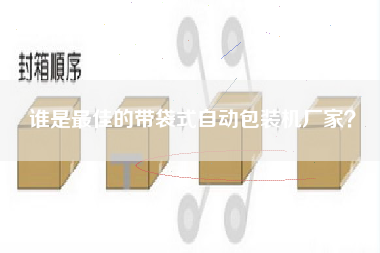 誰是最佳的帶袋式自動包裝機廠家？