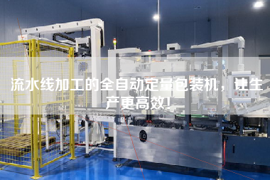 流水線加工的全自動定量包裝機，讓生產更高效！