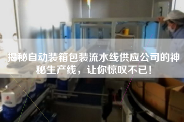 揭秘自動裝箱包裝流水線供應公司的神秘生產(chǎn)線，讓你驚嘆不已！