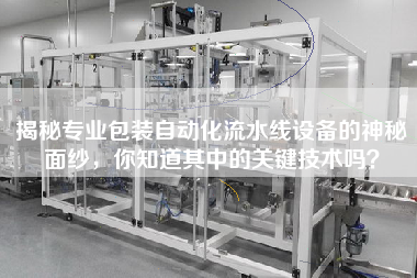 揭秘專業(yè)包裝自動化流水線設(shè)備的神秘面紗，你知道其中的關(guān)鍵技術(shù)嗎