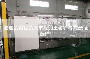 誰是裝箱包裝流水線的王者尋找最佳選擇！