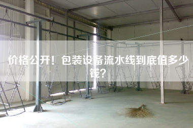 價(jià)格公開！包裝設(shè)備流水線到底值多少錢