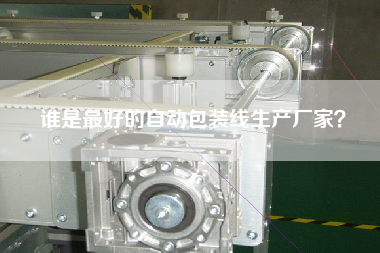 誰是最好的自動包裝線生產廠家？