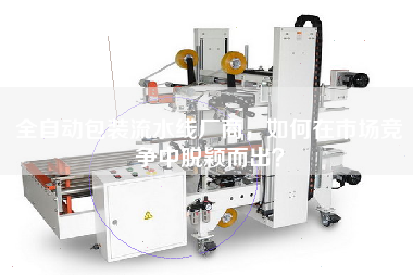 全自動包裝流水線廠商，如何在市場競爭中脫穎而出？