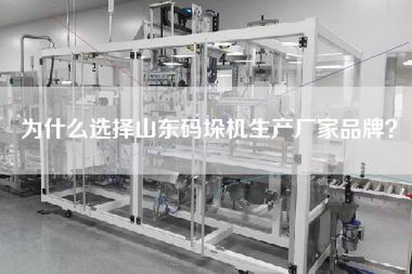為什么選擇山東碼垛機(jī)生產(chǎn)廠家品牌？