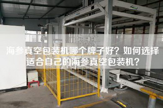 海參真空包裝機哪個牌子好？如何選擇適合自己的海參真空包裝機？