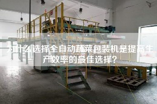為什么選擇全自動(dòng)蔬菜包裝機(jī)是提高生產(chǎn)效率的最佳選擇？