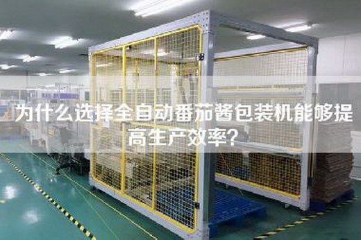 為什么選擇全自動番茄醬包裝機能夠提高生產效率？