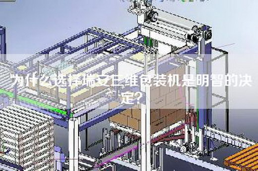 為什么選擇瑞安三維包裝機是明智的決定？