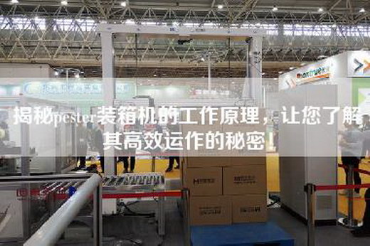 揭秘pester裝箱機的工作原理，讓您了解其高效運作的秘密！