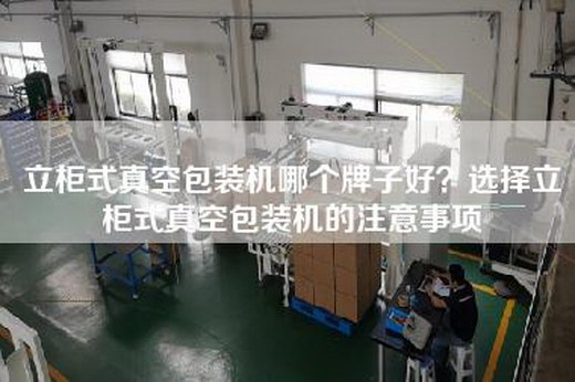 立柜式真空包裝機哪個牌子好？選擇立柜式真空包裝機的注意事項