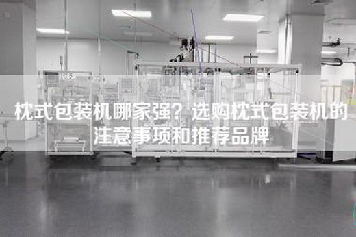 枕式包裝機哪家強？選購枕式包裝機的注意事項和推薦品牌