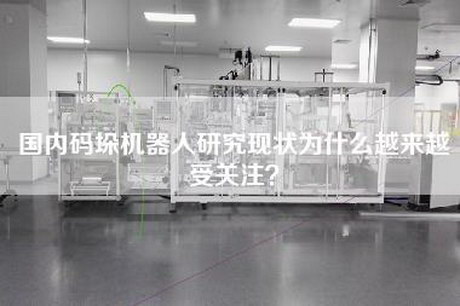 國內碼垛機器人研究現(xiàn)狀為什么越來越受關注？