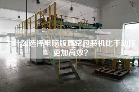 為什么選擇電腦版真空包裝機比手動版更加高效？