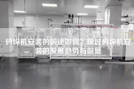 碼垛機(jī)安裝的前途如何？探討碼垛機(jī)安裝的發(fā)展趨勢(shì)與前景