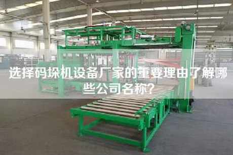 選擇碼垛機(jī)設(shè)備廠家的重要理由了解哪些公司名稱？