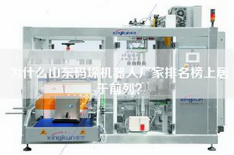 為什么山東碼垛機(jī)器人廠家排名榜上居于前列？