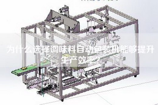 為什么選擇調味料自動包裝機能夠提升生產效率？