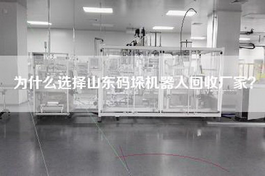 為什么選擇山東碼垛機器人回收廠家？