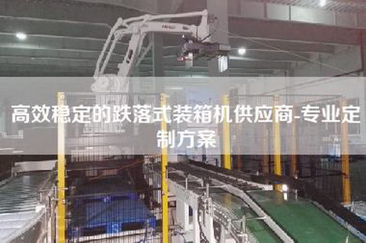 高效穩定的跌落式裝箱機供應商-專業定制方案