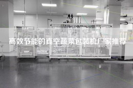 高效節能的真空蔬菜包裝機廠家推薦