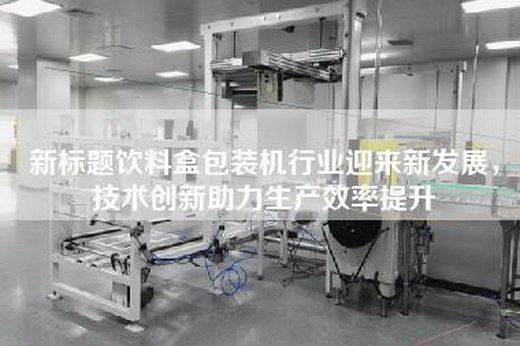 新標(biāo)題飲料盒包裝機(jī)行業(yè)迎來新發(fā)展，技術(shù)創(chuàng)新助力生產(chǎn)效率提升