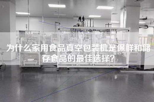 為什么家用食品真空包裝機是保鮮和儲存食品的最佳選擇？
