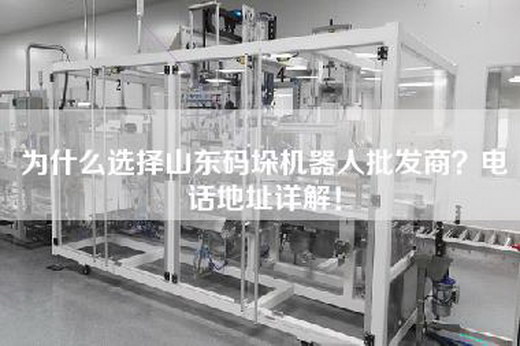 為什么選擇山東碼垛機器人批發商？電話地址詳解！