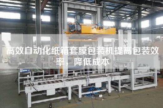 高效自動化紙箱套膜包裝機提高包裝效率，降低成本