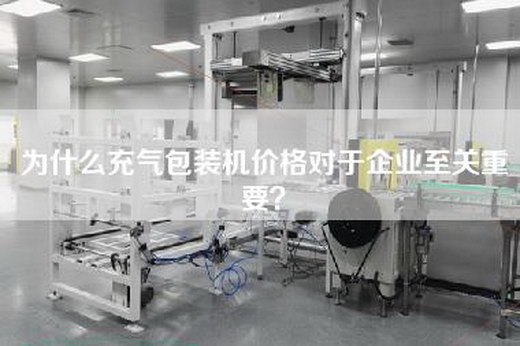 為什么充氣包裝機價格對于企業(yè)至關重要？