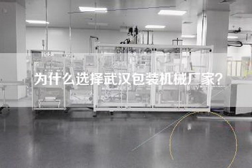 為什么選擇武漢包裝機械廠家？