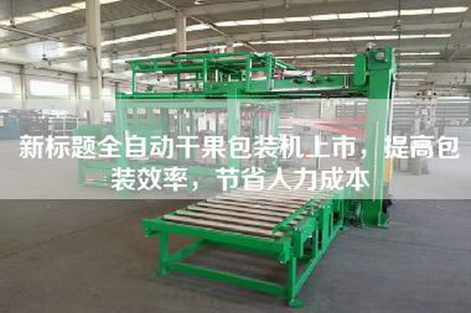 新標(biāo)題全自動(dòng)干果包裝機(jī)上市，提高包裝效率，節(jié)省人力成本