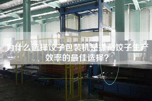 為什么選擇餃子包裝機是提高餃子生產效率的最佳選擇？