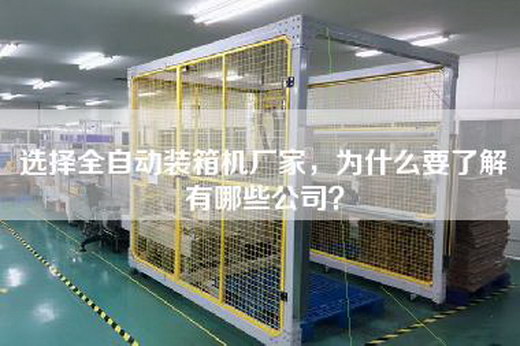 選擇全自動裝箱機廠家,為什么要了解有哪些公司? 選擇全自動裝箱機廠家,為什么要了解有哪些公司?