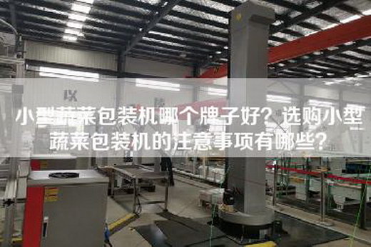 小型蔬菜包裝機哪個牌子好?選購小型蔬菜包裝機的注意事項有哪些? 小型蔬菜包裝機哪個牌子好?選購小型蔬菜包裝機的注意事項有哪些?