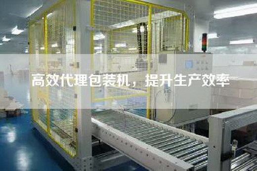 高效代理包裝機,提升生產效率 高效代理包裝機,提升生產效率