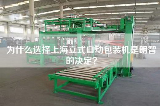 為什么選擇上海立式自動包裝機(jī)是明智的決定？