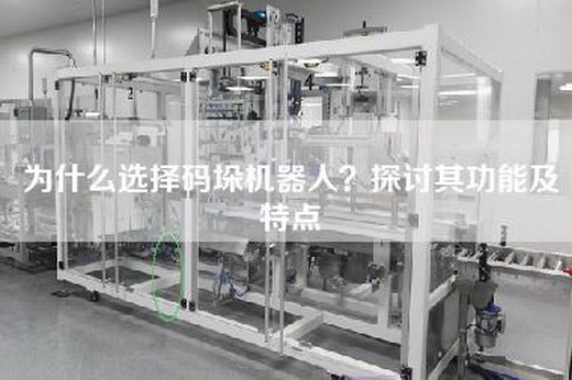 為什么選擇碼垛機(jī)器人？探討其功能及特點(diǎn)