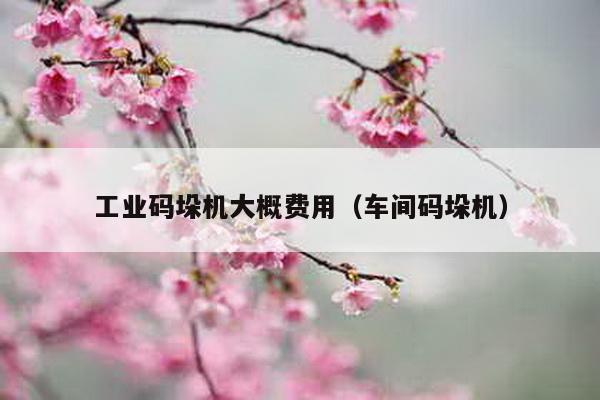 工業(yè)碼垛機(jī)大概費(fèi)用(車間碼垛機(jī))