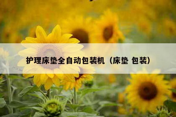 護理床墊全自動包裝機(床墊 包裝)
