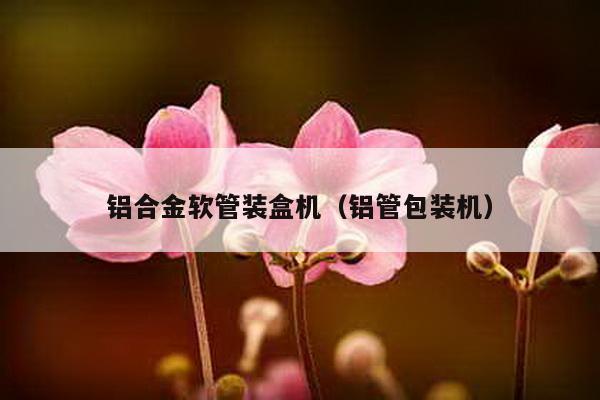 鋁合金軟管裝盒機(鋁管包裝機)