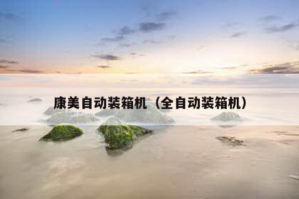 康美自動(dòng)裝箱機(jī)(全自動(dòng)裝箱機(jī))